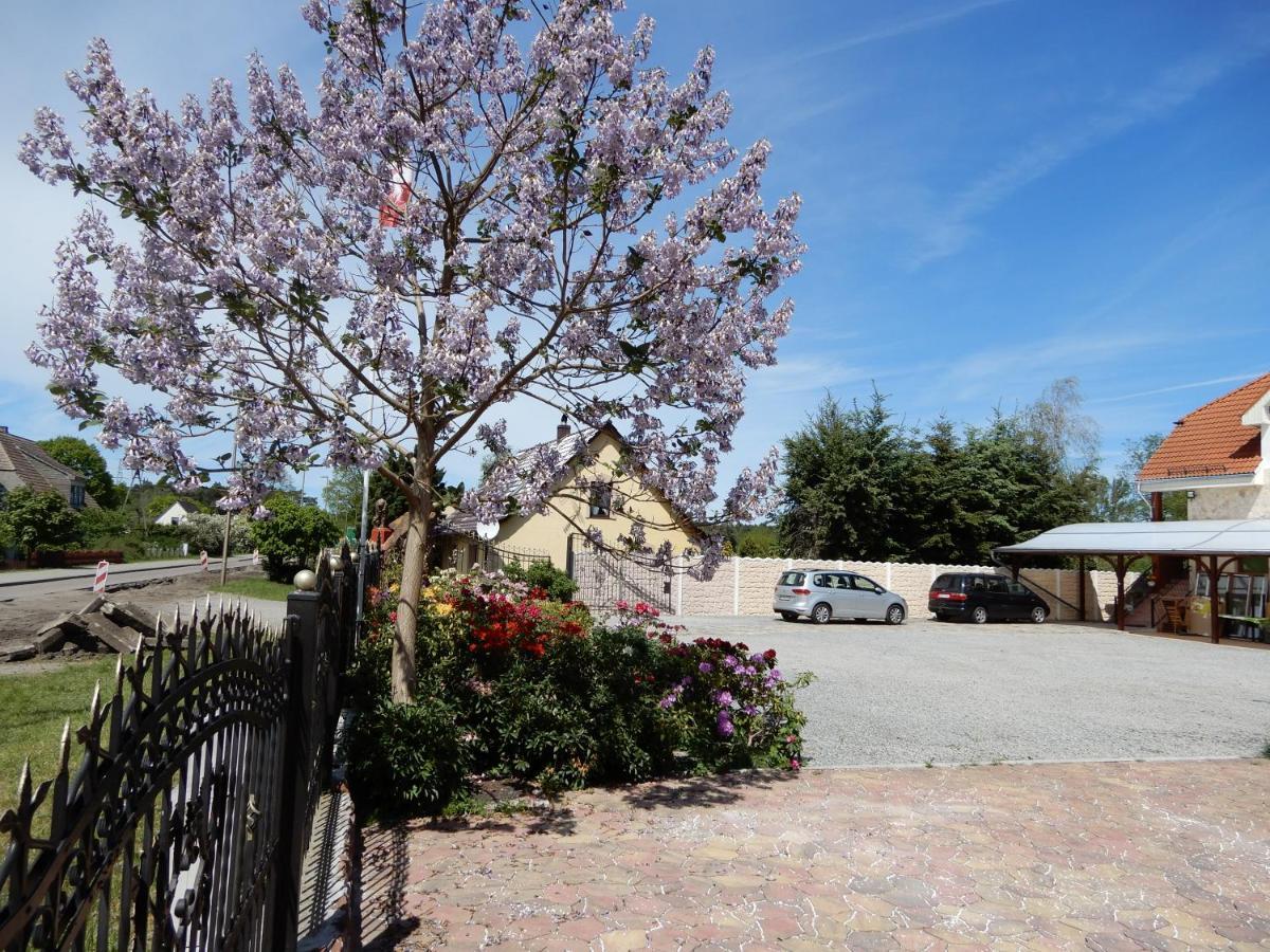 Vila Apartament Aurelia Svinoústí Exteriér fotografie